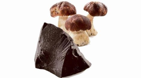 mushroom chocolate